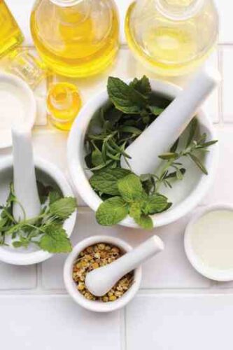 Echinacea Tincture Recipe